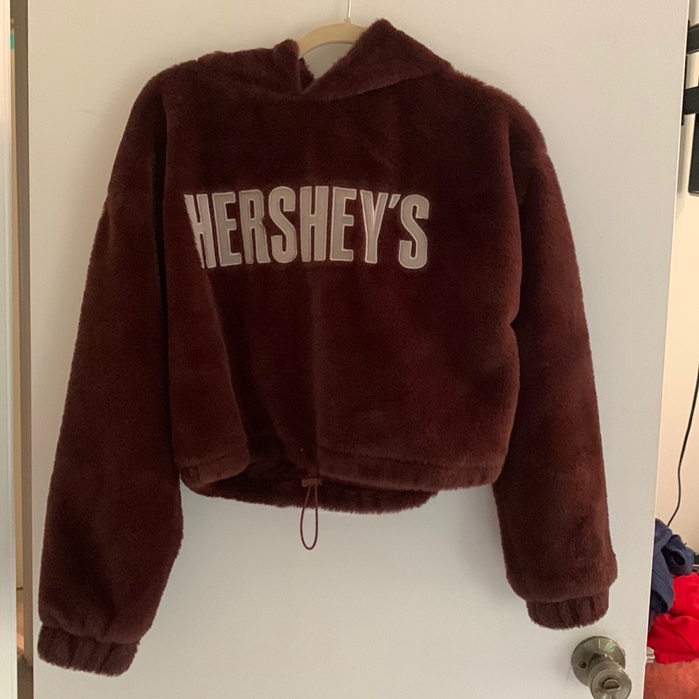 Forever 21 crop brown and grey Hersey’s sweater
